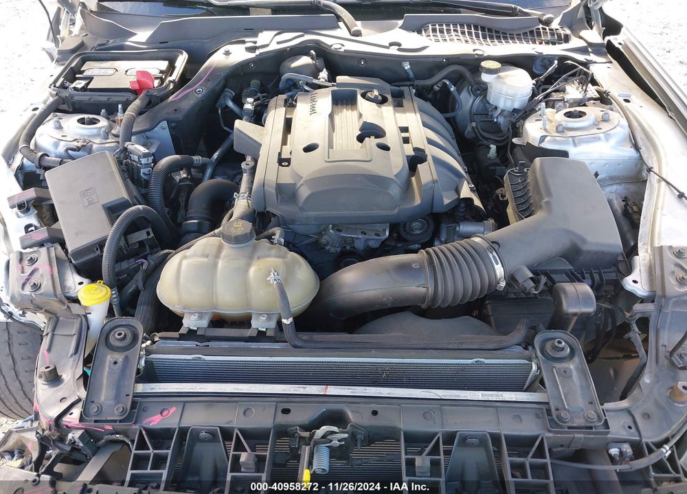 2019 FORD MUSTANG ECOBOOST VIN: 1FA6P8TH4K5135046