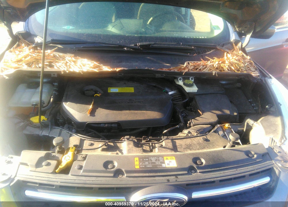 2014 FORD ESCAPE SE VIN: 1FMCU0GX9EUC98497