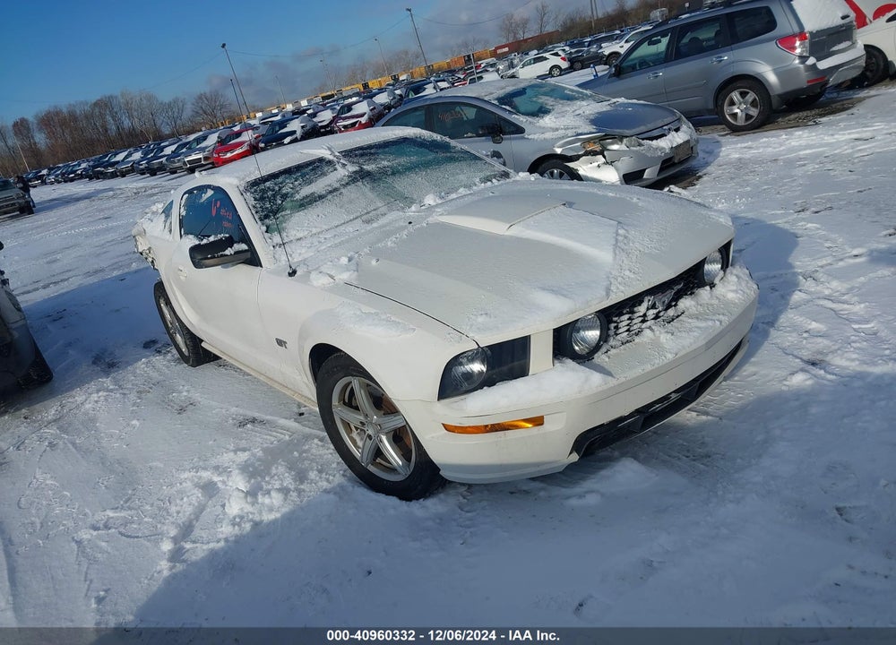 2008 FORD MUSTANG GT PREMIUM VIN: 1ZVHT82H385102979