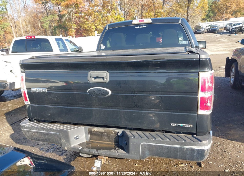 2012 FORD F-150 XLT VIN: 1FTEW1CM1CFA72447