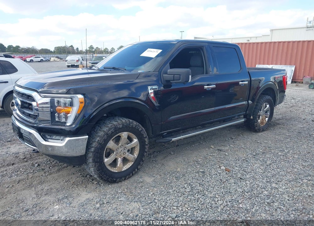 2023 FORD F-150 XLT VIN: 1FTFW1E88PFB25252