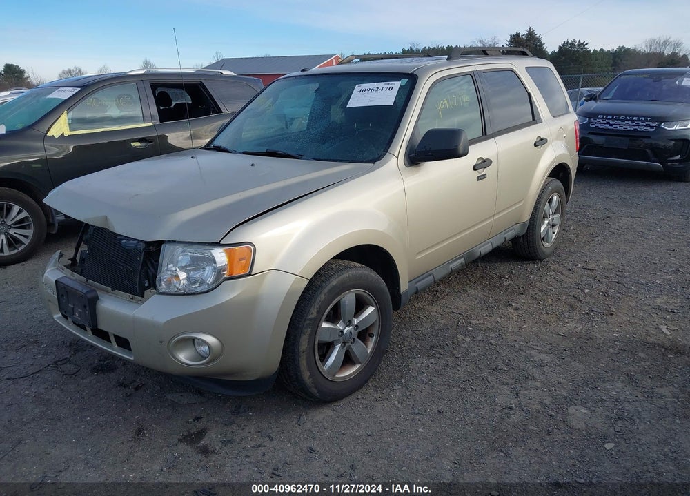 2011 FORD ESCAPE XLT VIN: 1FMCU9DG3BKA91460