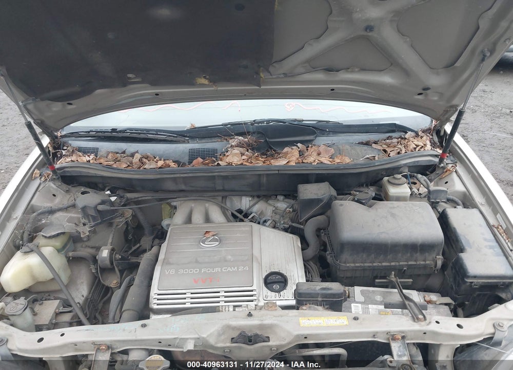 1999 LEXUS RX 300 VIN: JT6HF10U9X0048284