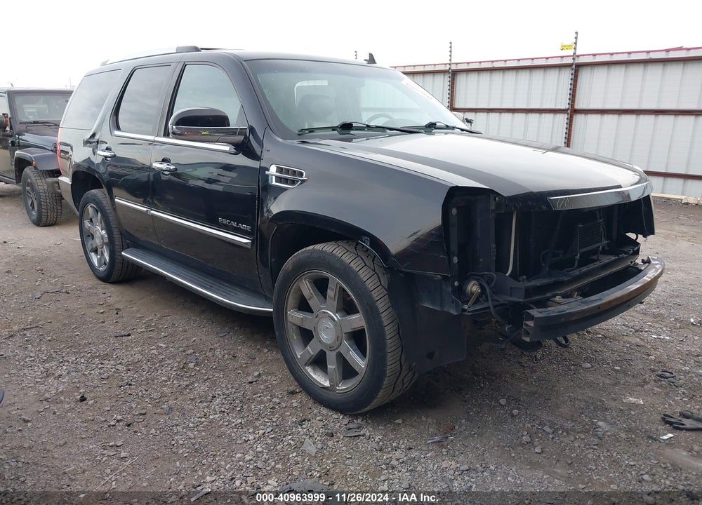 2010 CADILLAC ESCALADE STANDARD VIN: 1GYUKAEF3AR214762