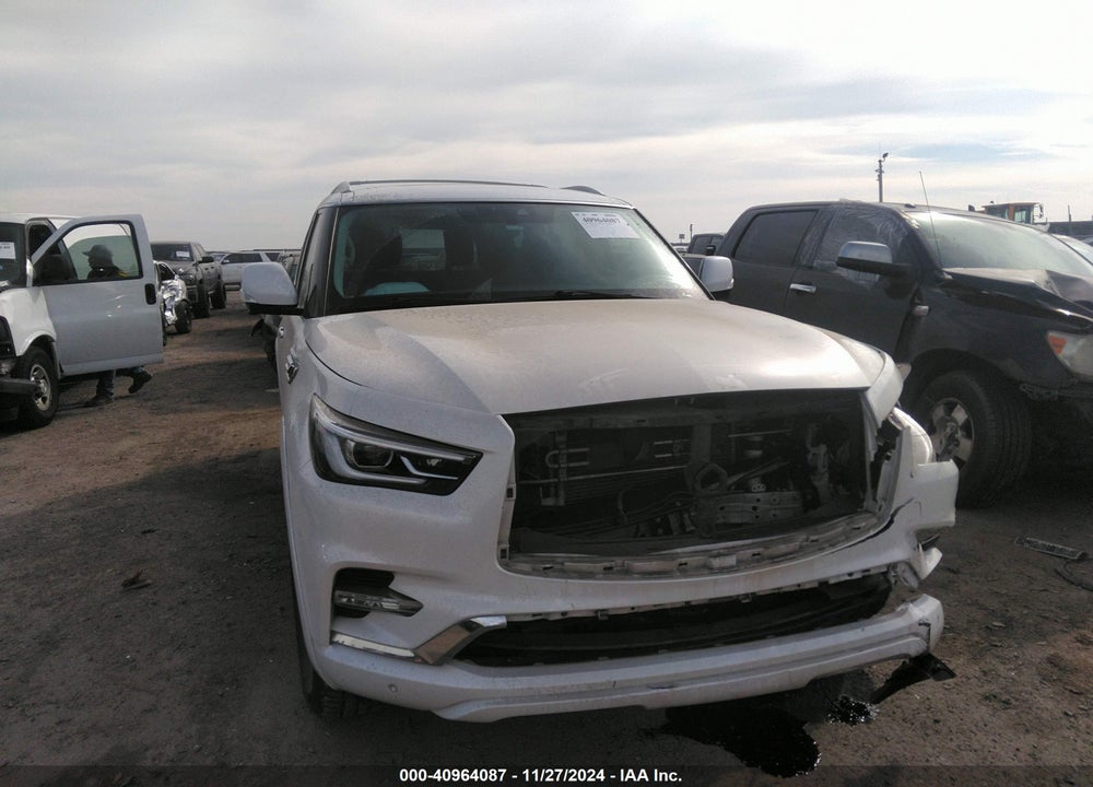 2019 INFINITI QX80 LUXE VIN: JN8AZ2NF9K9680017