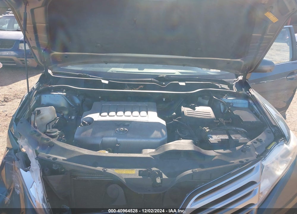 2009 TOYOTA VENZA VIN: 4T3BK11A29U012739