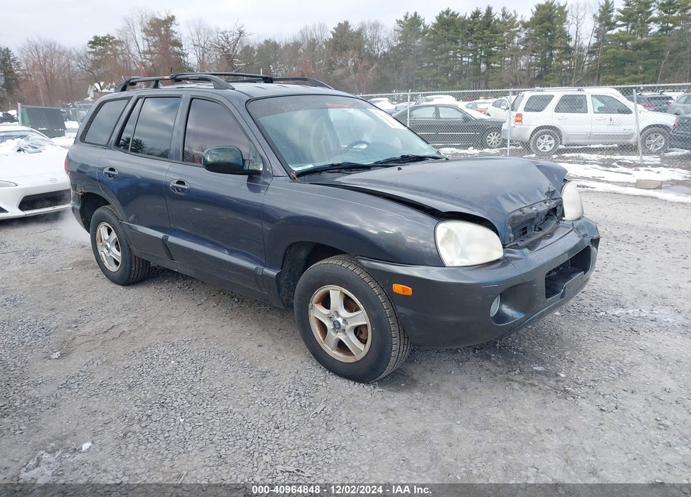 2005 HYUNDAI SANTA FE GLS/LX VIN: KM8SC13E35U880040