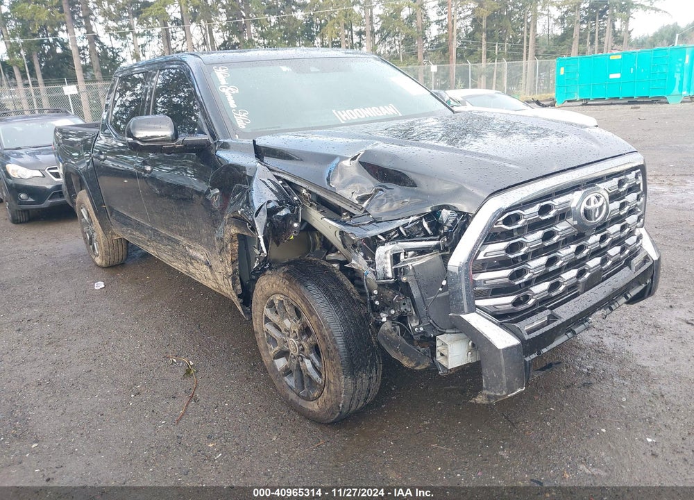2024 TOYOTA TUNDRA PLATINUM VIN: 5TFNA5DBXRX145207