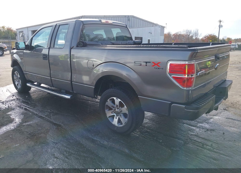 2013 FORD F-150 STX VIN: 1FTFX1EF2DFB33502