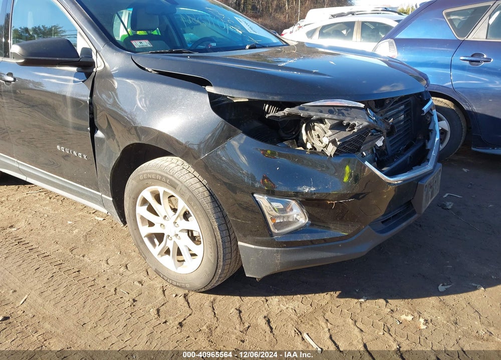2019 CHEVROLET EQUINOX LS VIN: 2GNAXSEV8K6119853