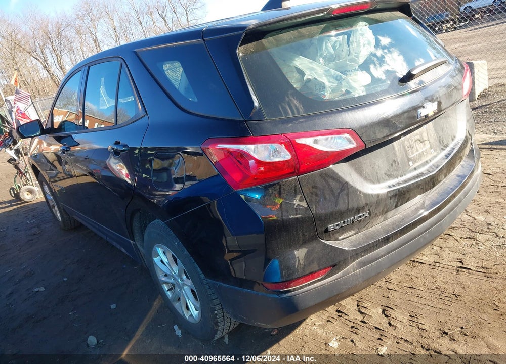 2019 CHEVROLET EQUINOX LS VIN: 2GNAXSEV8K6119853