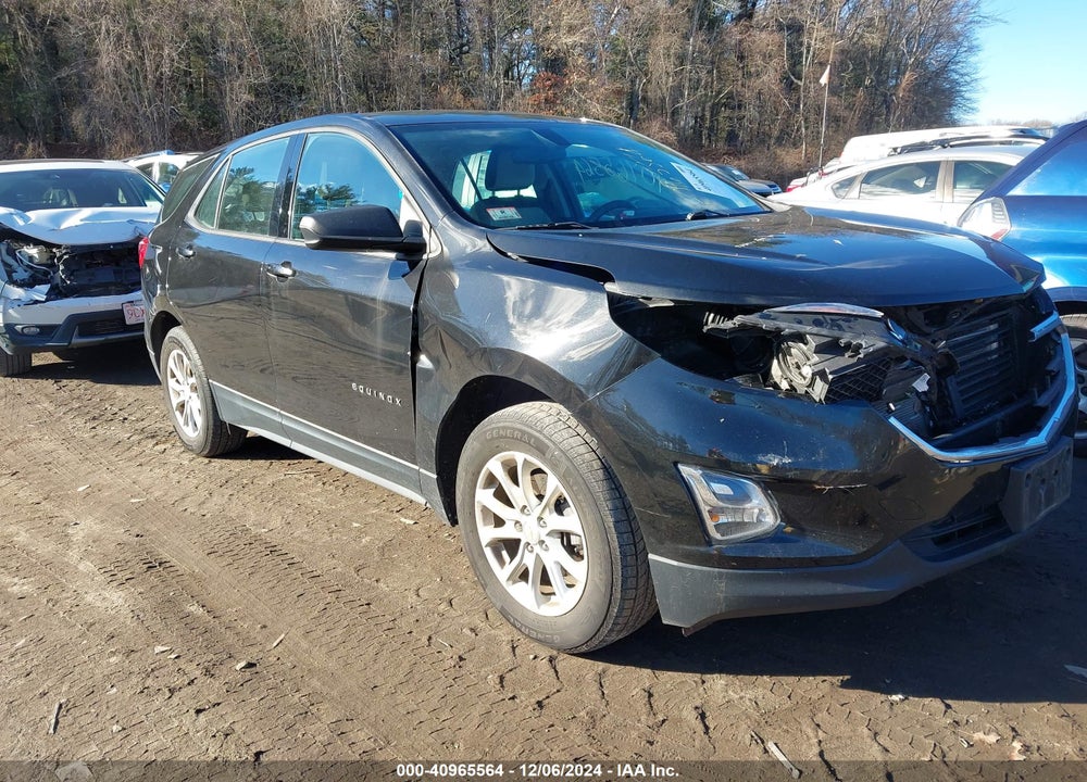 2019 CHEVROLET EQUINOX LS VIN: 2GNAXSEV8K6119853
