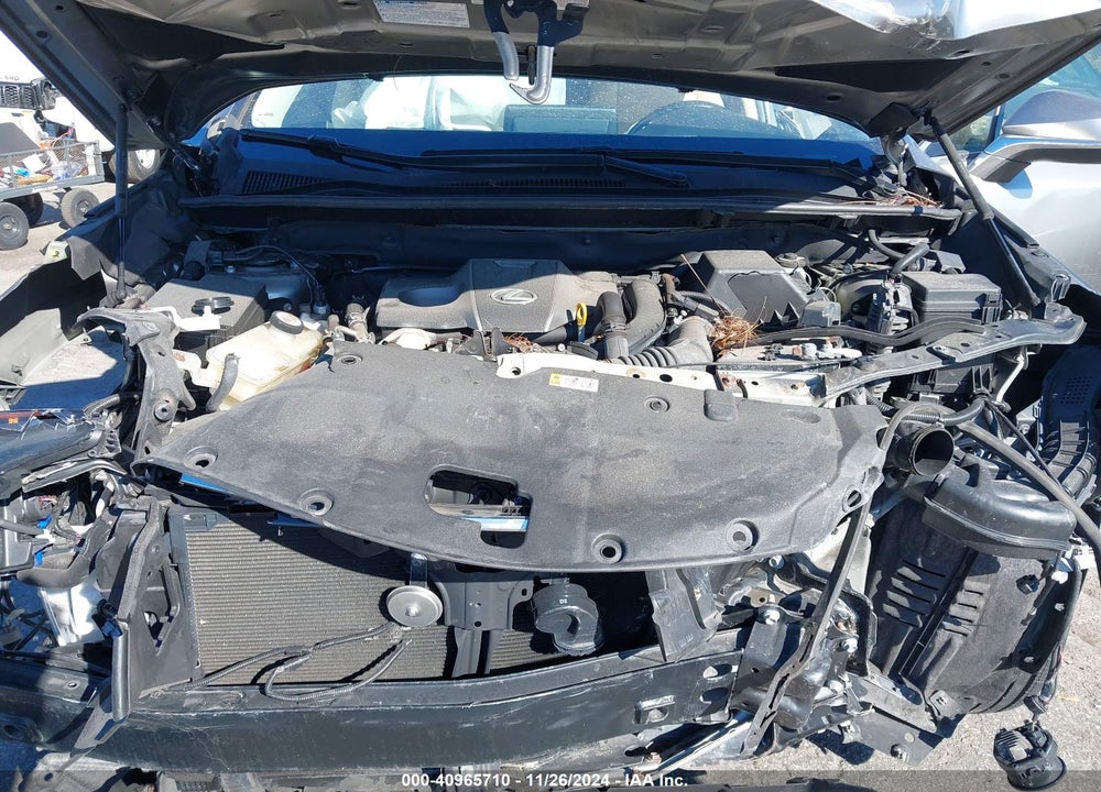 2020 LEXUS NX 300 VIN: JTJDARBZ5L5010672