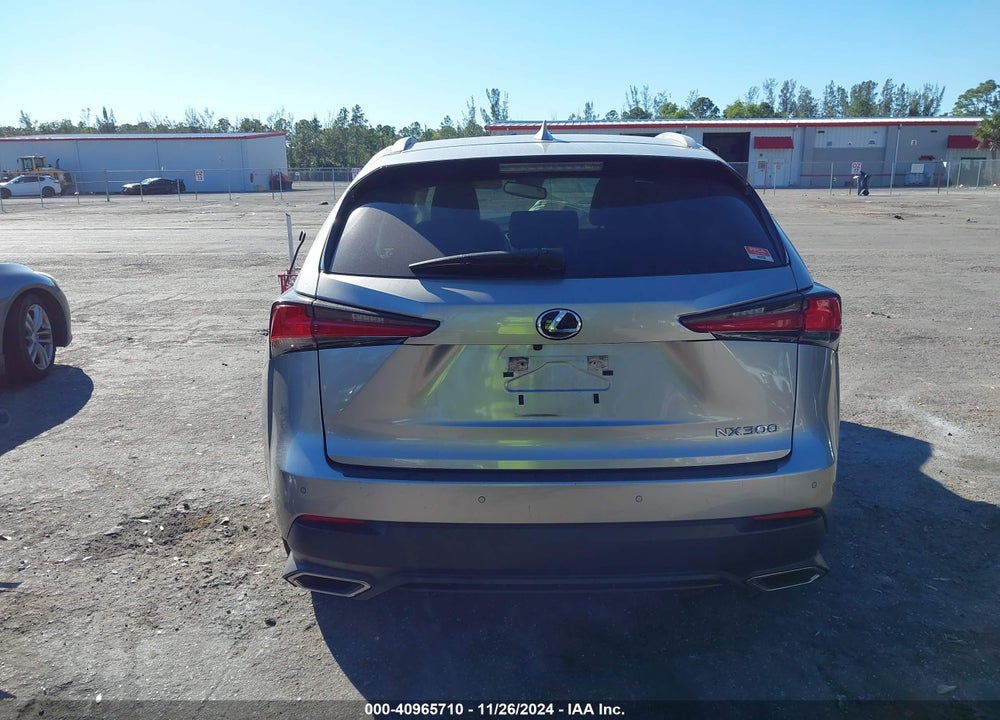 2020 LEXUS NX 300 VIN: JTJDARBZ5L5010672
