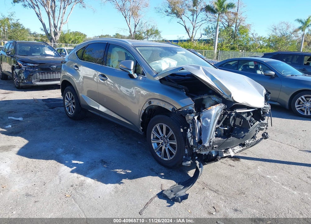 2020 LEXUS NX 300 VIN: JTJDARBZ5L5010672