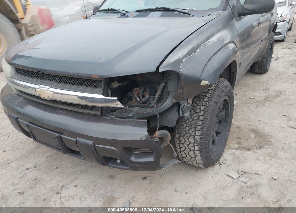 2006 CHEVROLET TRAILBLAZER LS VIN: 1GNDS13S062236179