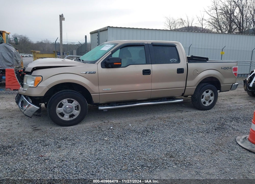 2011 FORD F-150 XLT VIN: 1FTFW1ET7BFC63538