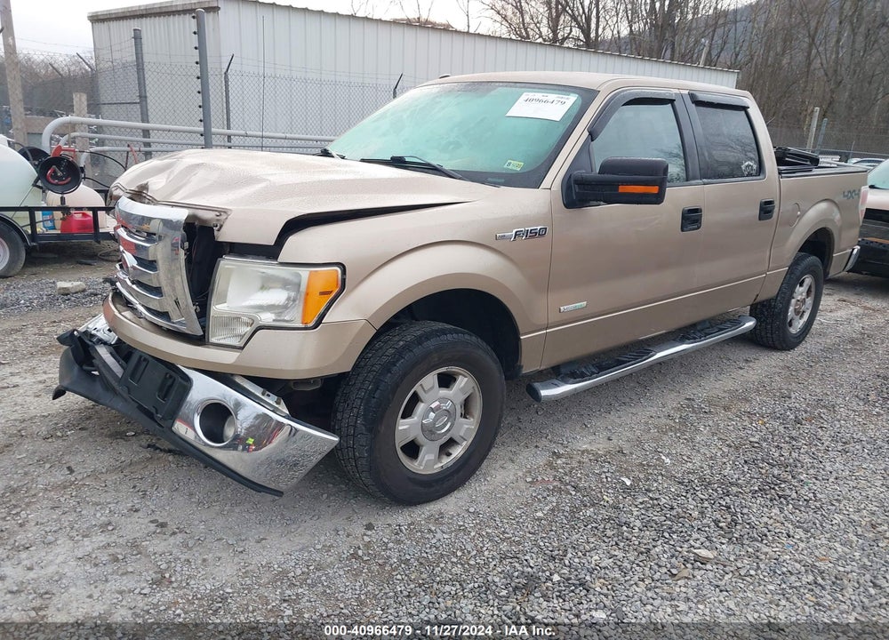 2011 FORD F-150 XLT VIN: 1FTFW1ET7BFC63538