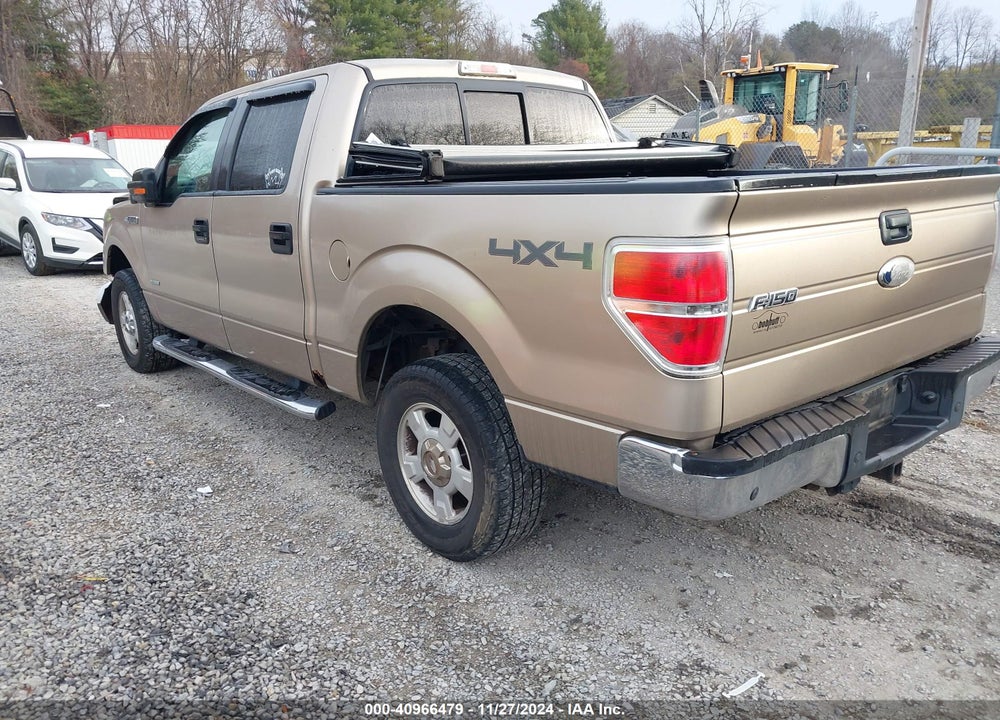 2011 FORD F-150 XLT VIN: 1FTFW1ET7BFC63538