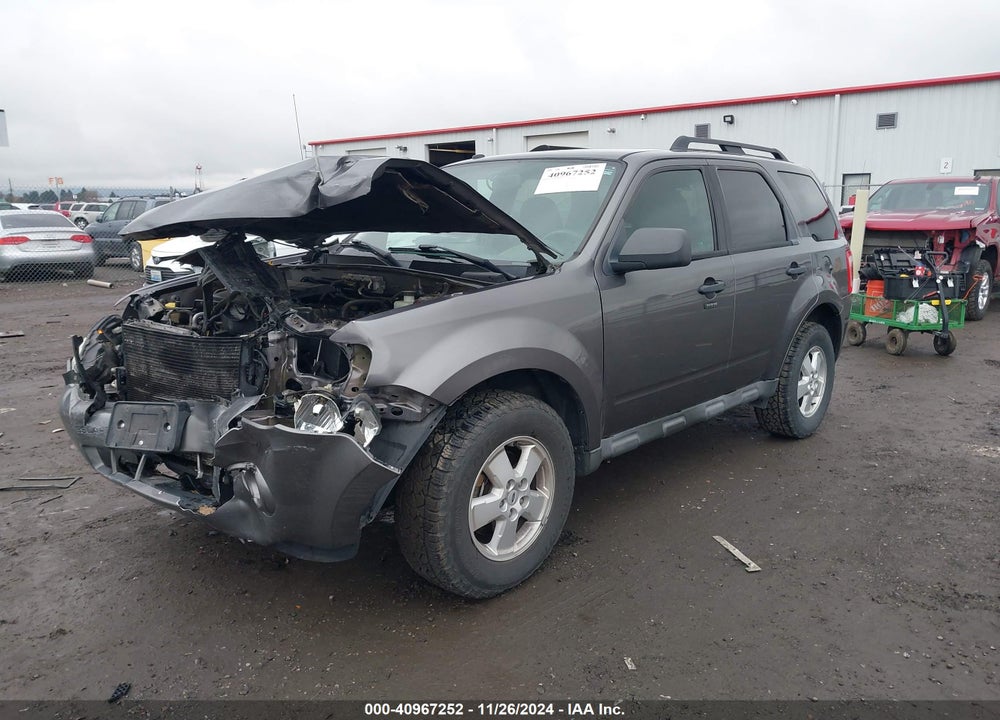 2010 FORD ESCAPE XLT VIN: 1FMCU9DGXAKA09903