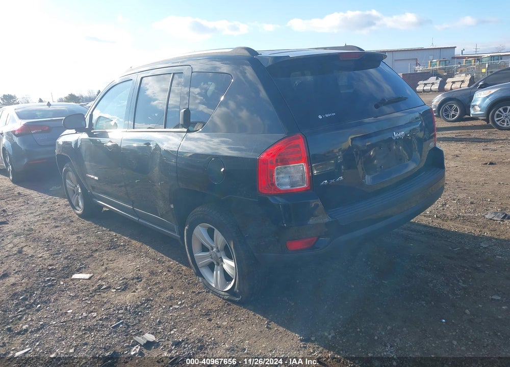 2011 JEEP COMPASS VIN: 1J4NF1FB3BD207300