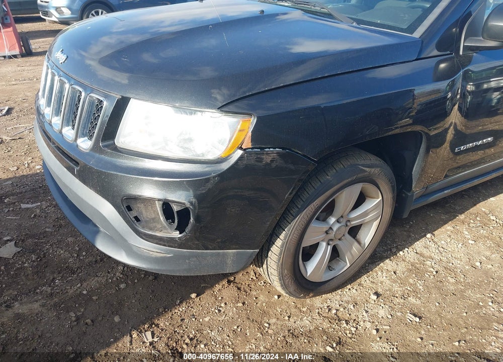 2011 JEEP COMPASS VIN: 1J4NF1FB3BD207300