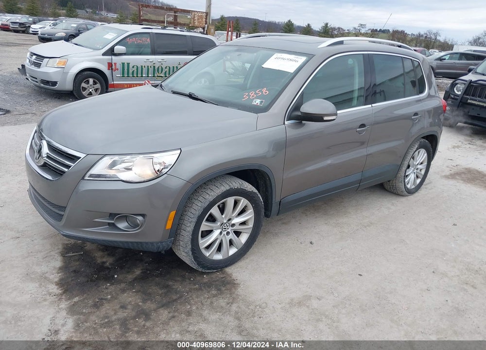 2010 VOLKSWAGEN TIGUAN WOLFSBURG EDITION VIN: WVGBV9AX1AW513858