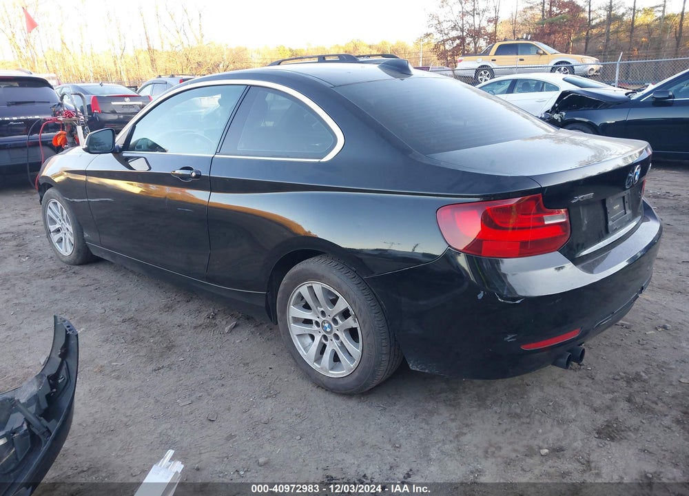 2015 BMW 228I VIN: WBA1F7C50FVX95501