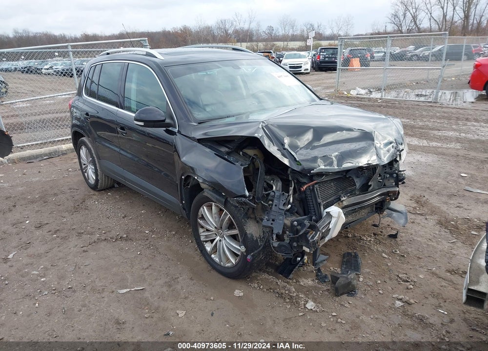 2010 VOLKSWAGEN TIGUAN SEL VIN: WVGBV7AX9AW526894