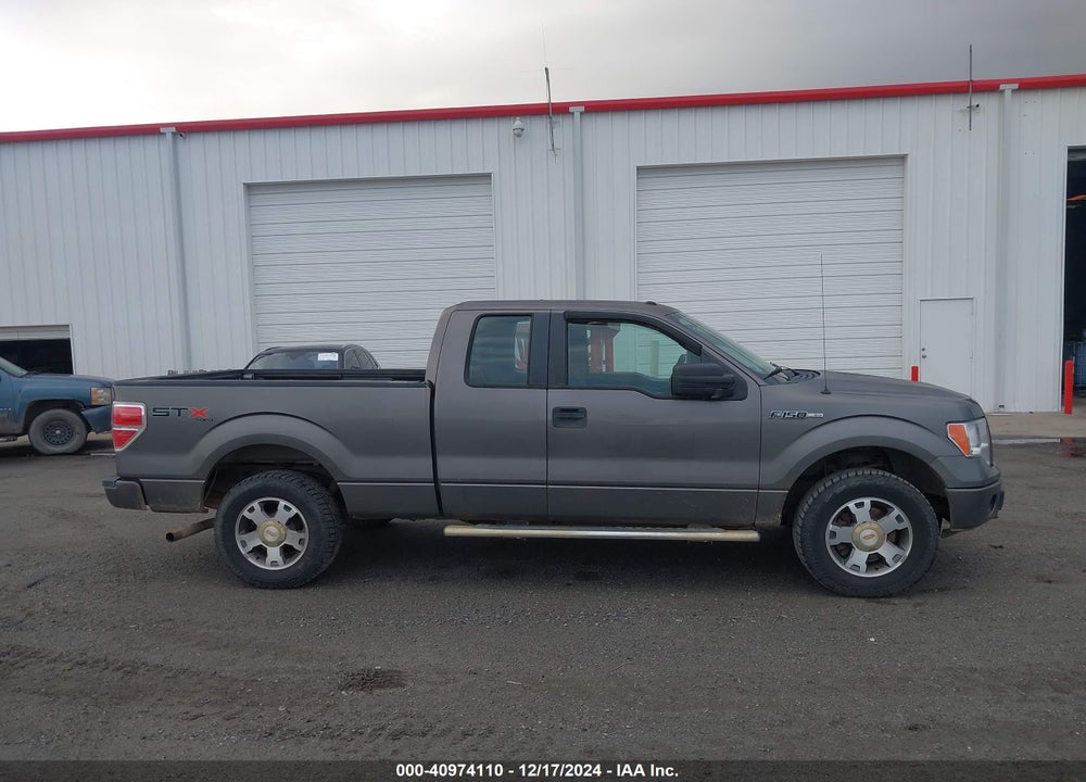 2010 FORD F-150 STX/XL/XLT VIN: 1FTEX1E84AKE25247
