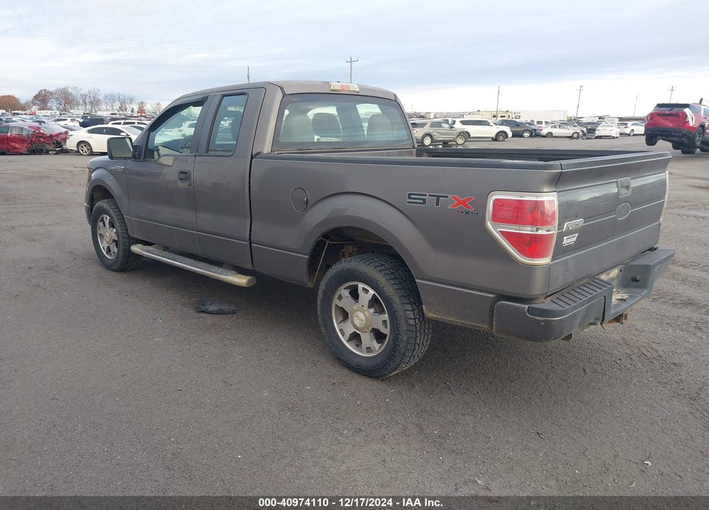 2010 FORD F-150 STX/XL/XLT VIN: 1FTEX1E84AKE25247