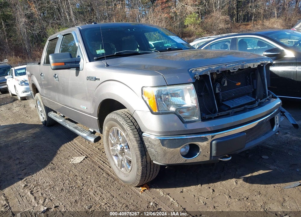 2011 FORD F-150 XLT VIN: 1FTFW1ETXBFC36575