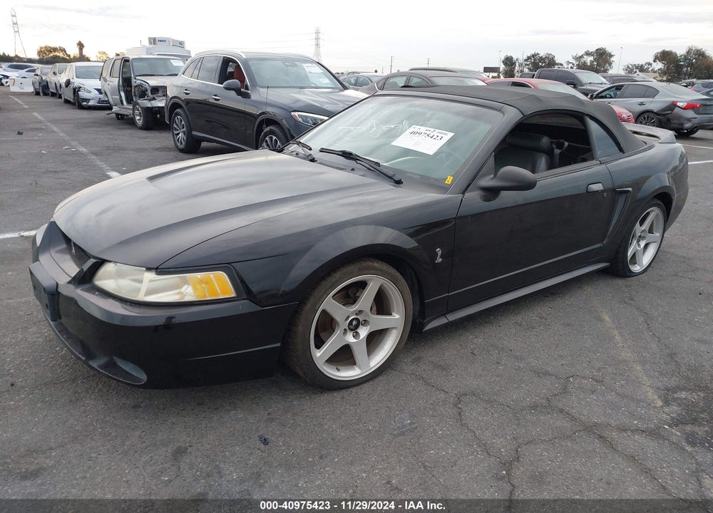 1999 FORD MUSTANG COBRA VIN: 1FAFP46VXXF182822