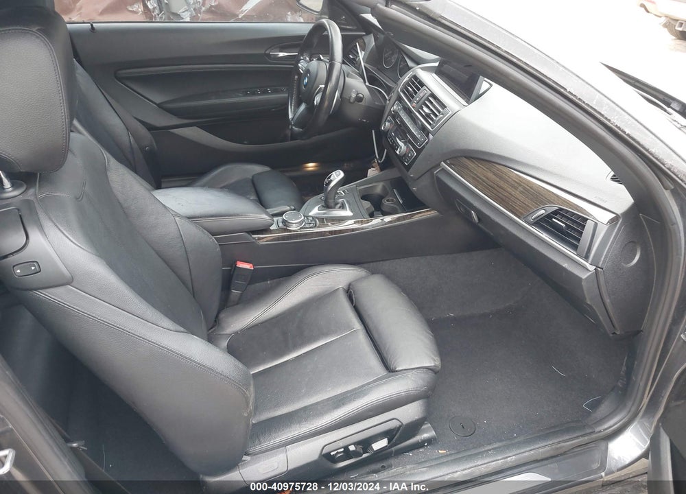 2015 BMW M235 VIN: WBA1M1C53FV393216