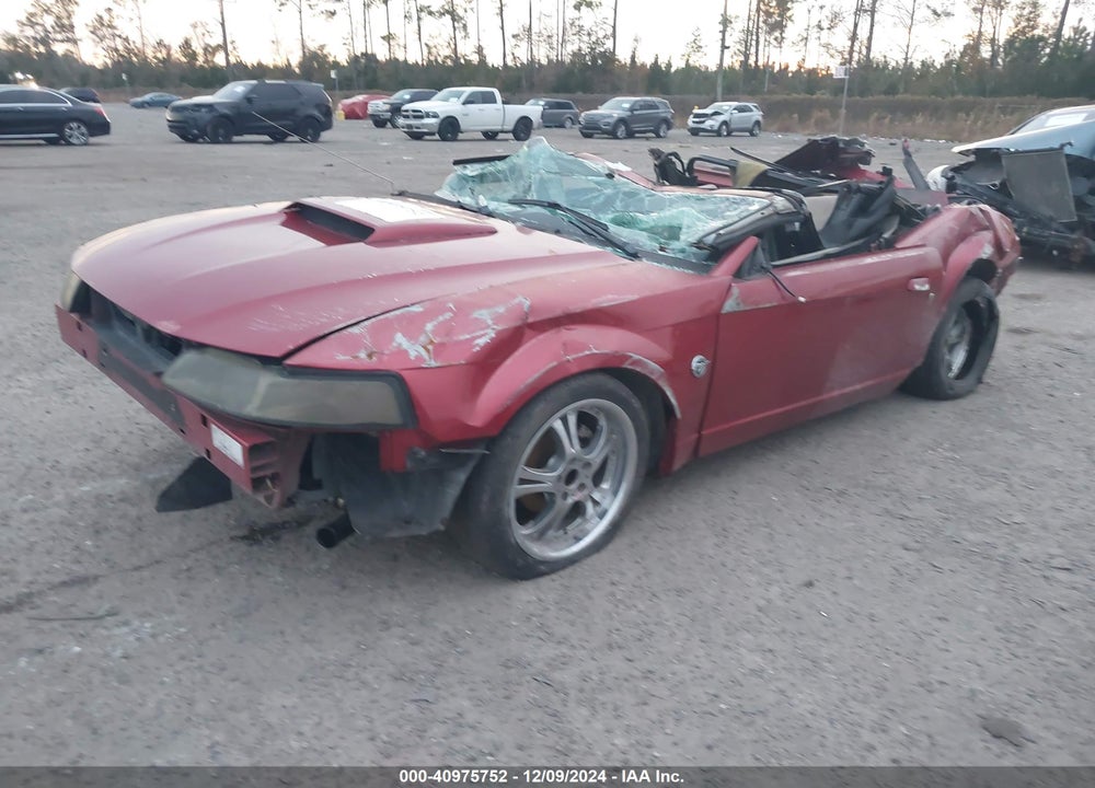 2004 FORD MUSTANG VIN: 1FAFP44614F233955