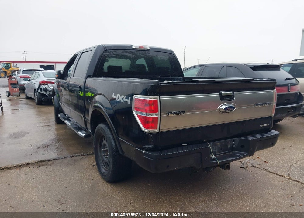 2009 FORD F-150 VIN: 1FTPW14V29FB31871