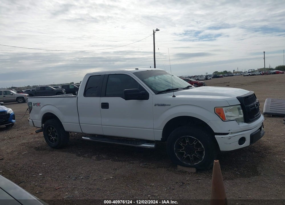 2009 FORD F-150 STX VIN: 1FTRX12W59KB51511