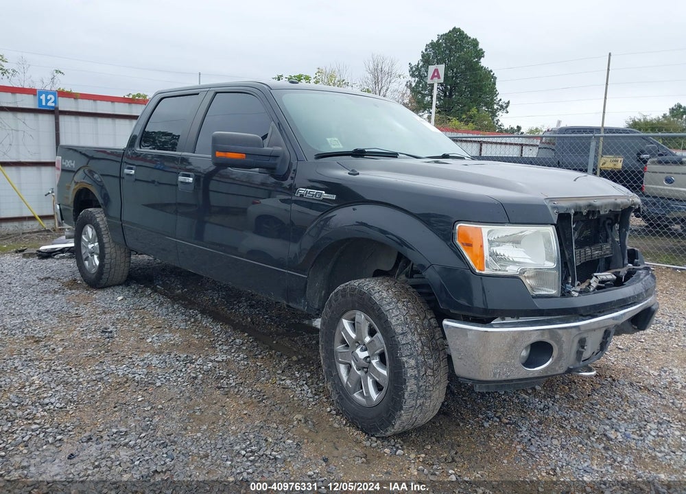 2014 FORD F-150 XLT VIN: 1FTFW1EF3EKD01675