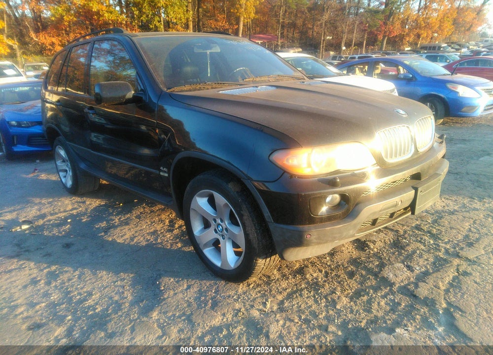 2006 BMW X5 4.4I VIN: 5UXFB53556LV28955