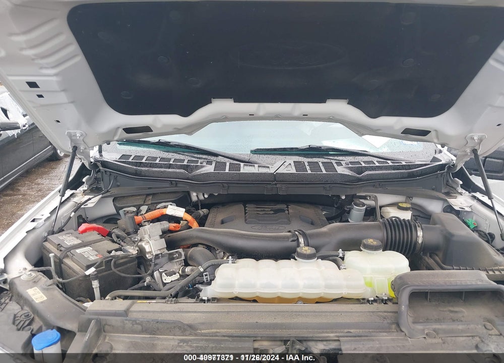 2023 FORD F-150 XLT VIN: 1FTFW1ED1PFA97906