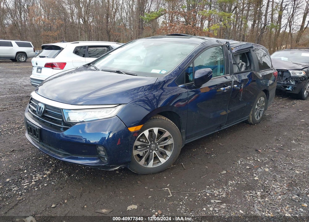2024 HONDA ODYSSEY EX-L VIN: 5FNRL6H63RB036886