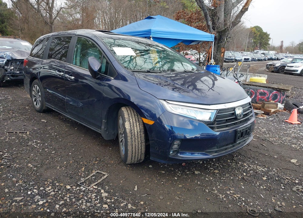 2024 HONDA ODYSSEY EX-L VIN: 5FNRL6H63RB036886