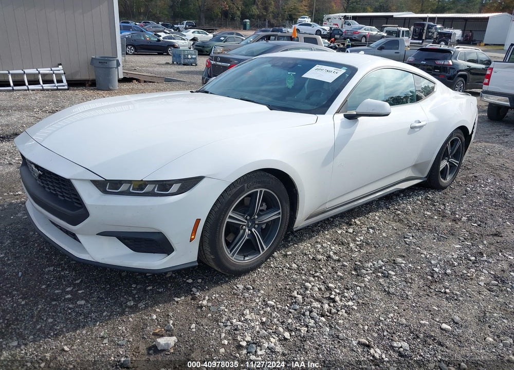 2024 FORD MUSTANG ECOBOOST VIN: 1FA6P8THXR5114891