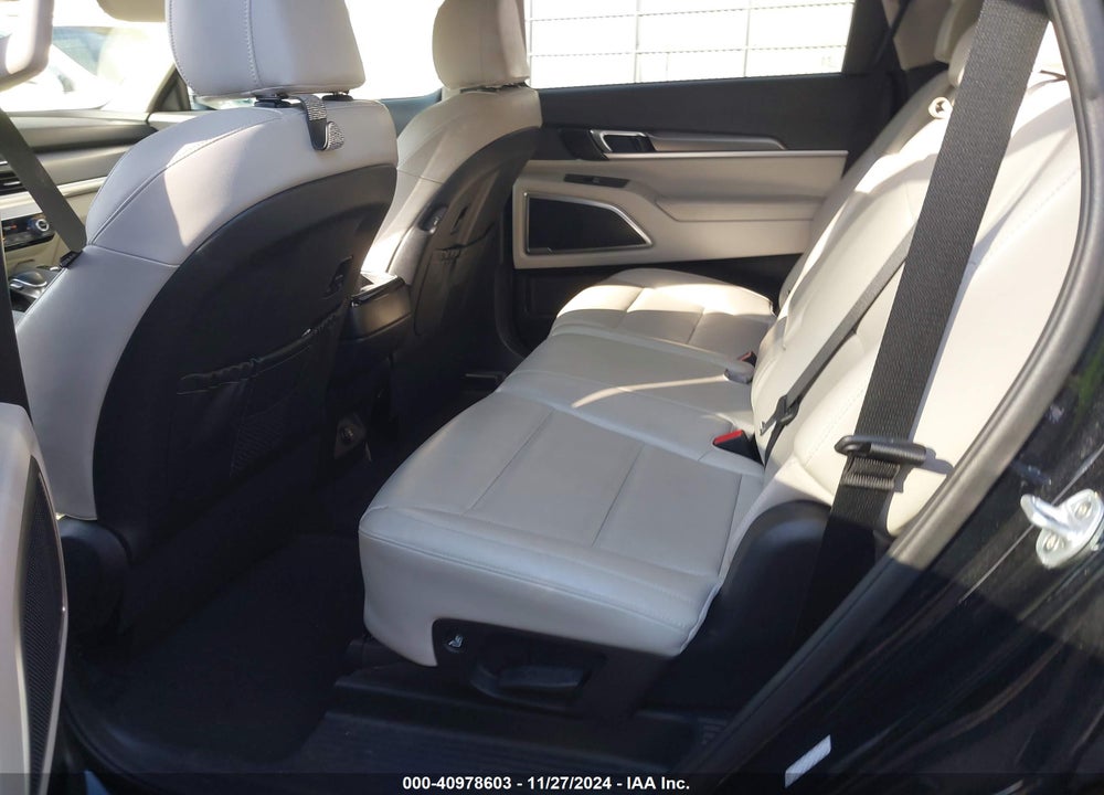 2020 KIA TELLURIDE S VIN: 5XYP6DHC5LG004630