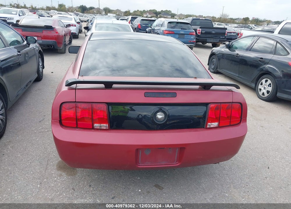 2006 FORD MUSTANG V6 VIN: 1ZVFT80N965164349
