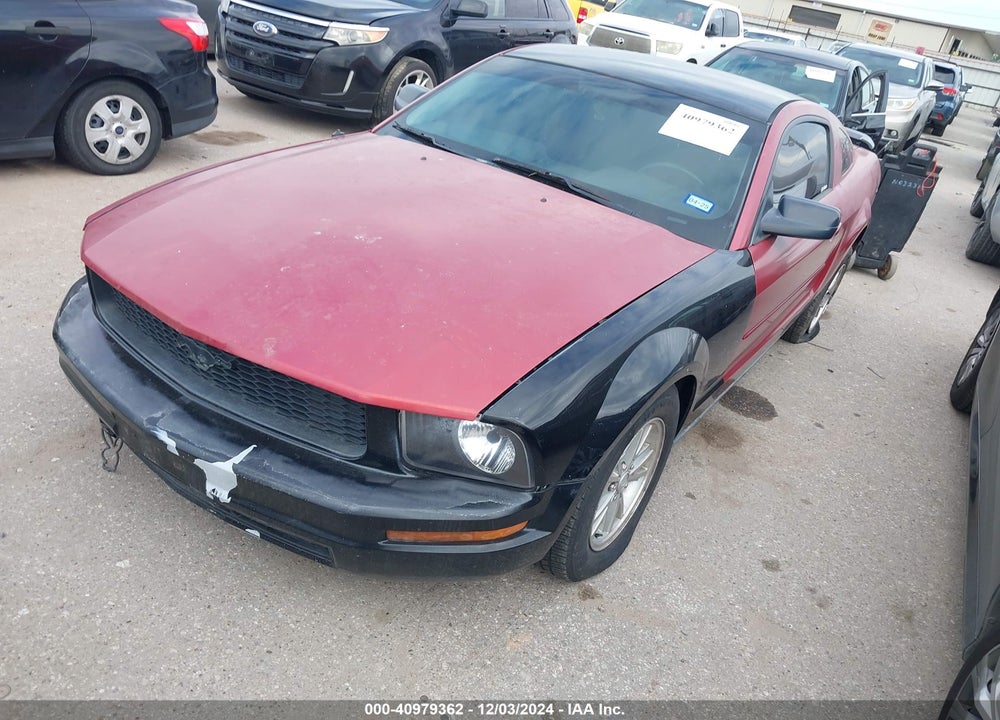 2006 FORD MUSTANG V6 VIN: 1ZVFT80N965164349