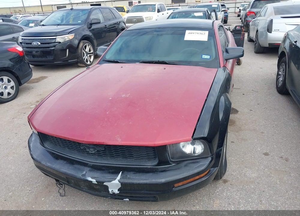 2006 FORD MUSTANG V6 VIN: 1ZVFT80N965164349