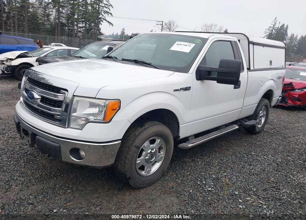 2014 FORD F-150 XLT VIN: 1FTMF1EF9EKD95441