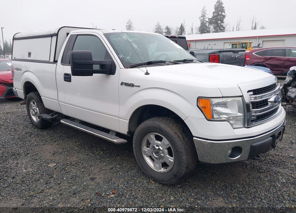 2014 FORD F-150 XLT VIN: 1FTMF1EF9EKD95441