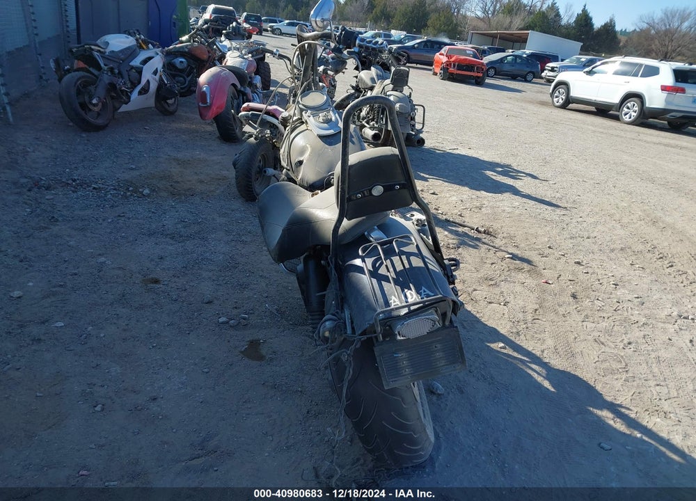 2010 HARLEY-DAVIDSON FXDF VIN: 1HD1GY416AC301937